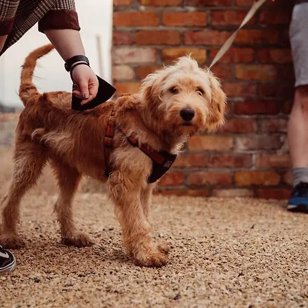 Glasson Lakehouse 4*