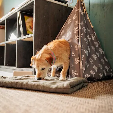 Glasson Lakehouse Hotel 4*