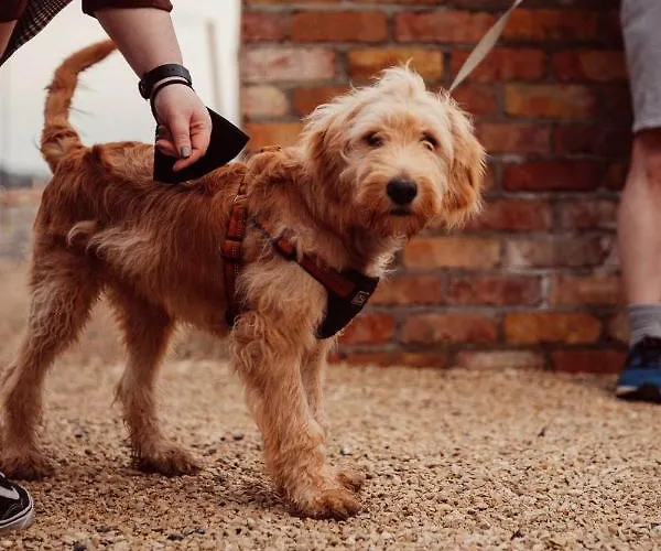 Glasson Lakehouse 4*