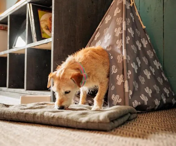 Glasson Lakehouse Hotel 4*